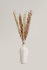 Mountain Grass - Bleach