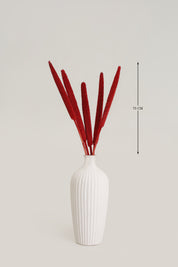 Pearl Dried Flower