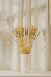 Dried Wheat Grass Stems