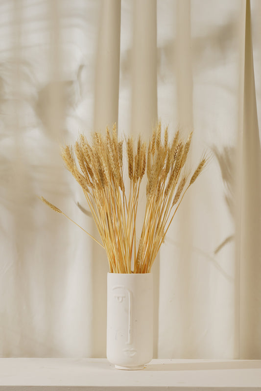 Dried Wheat Grass Stems