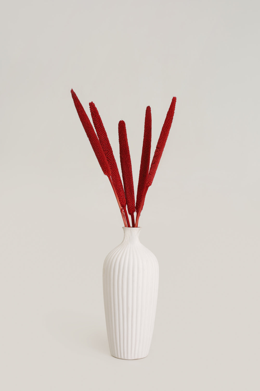 Pearl Millet - Red