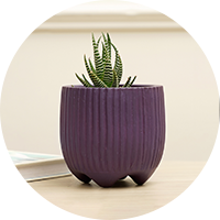 Vases_Ccircle.png