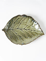 Leafy Platers