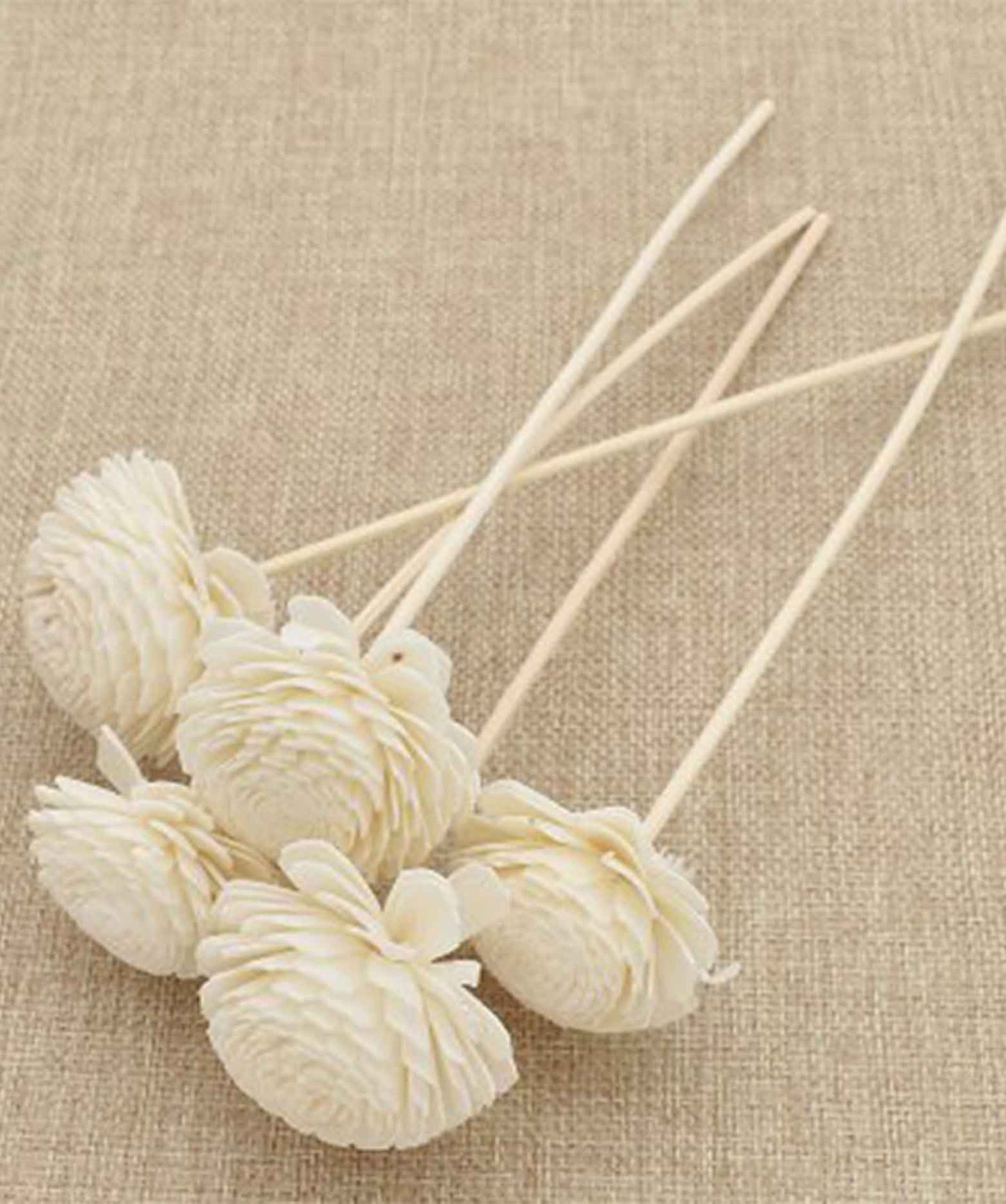 Flower Rattan Reed Diffuser Sticks Pack of 5