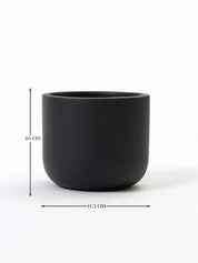 Jennie Planter