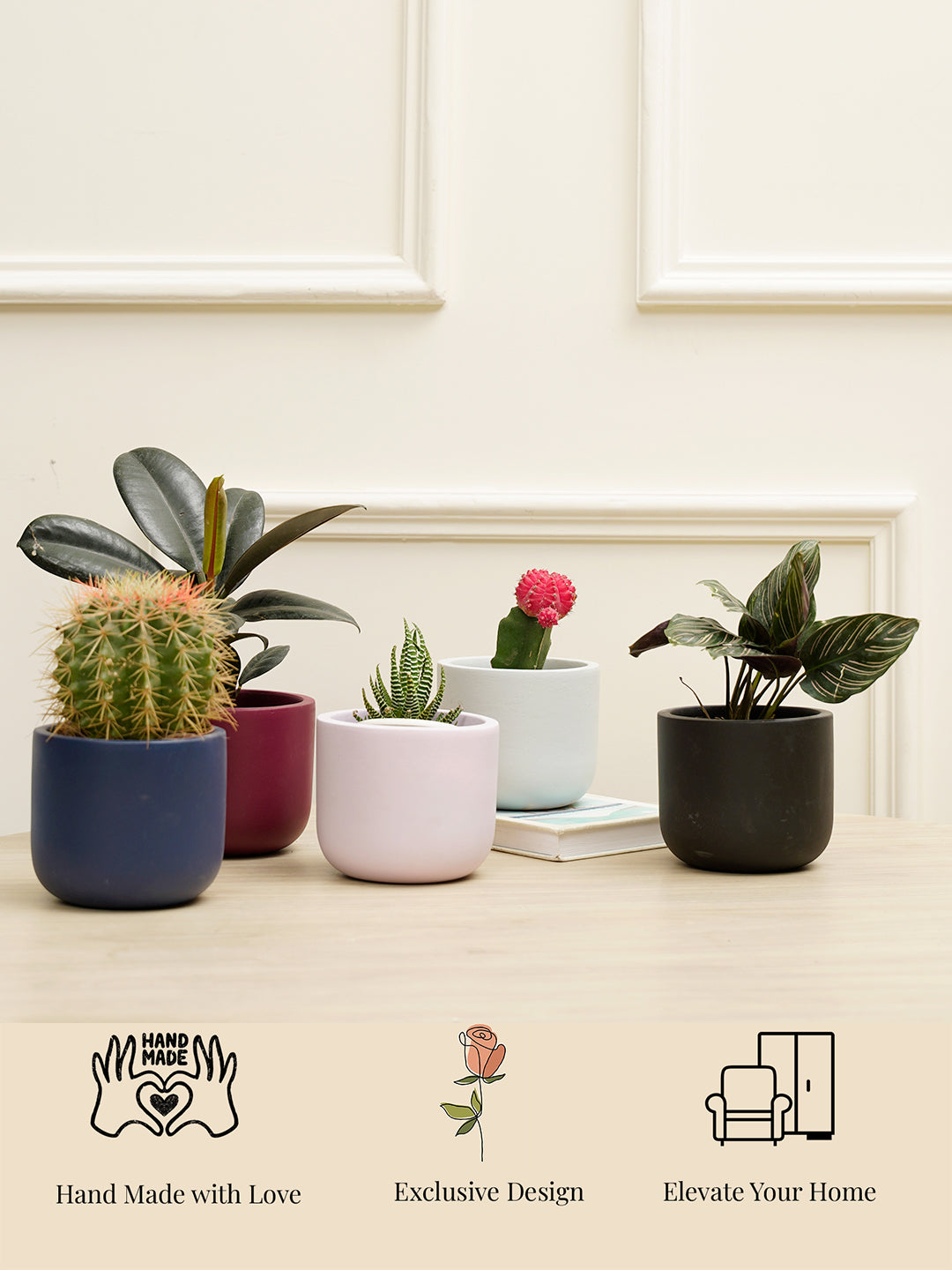 Jeanie Combo Planter