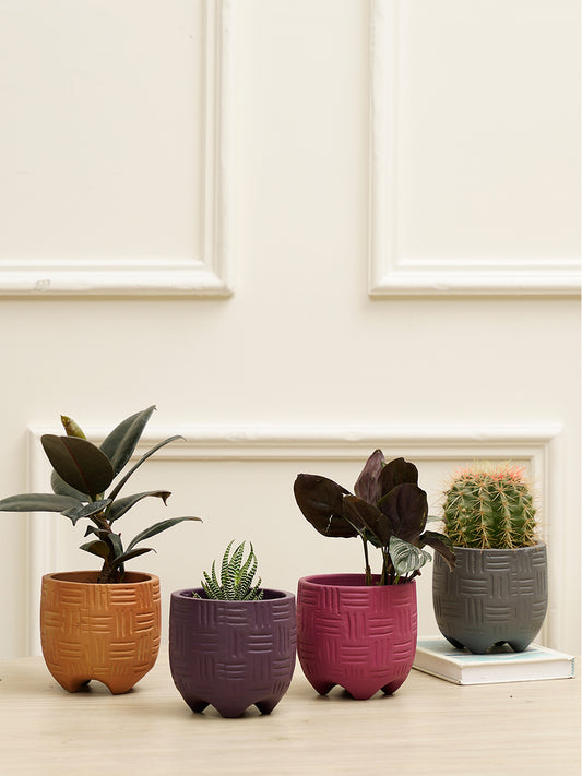 Monaco Combo Planter