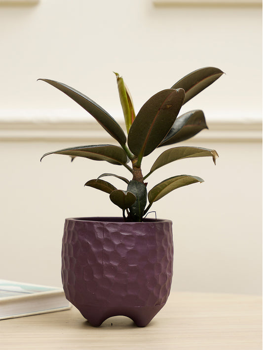 Pebble Planter