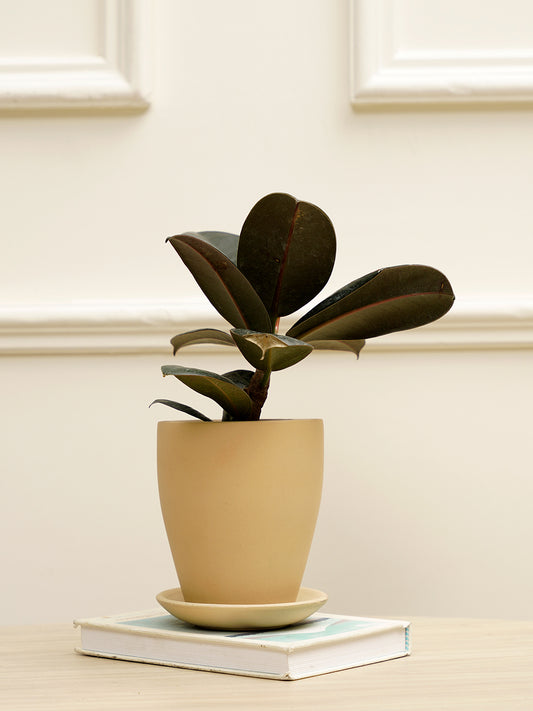 Vespa Planter