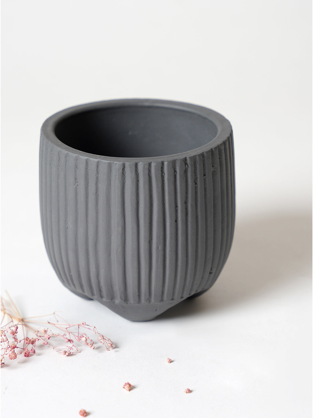 Sunbeam Planter