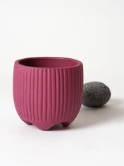 Sunbeam Planter