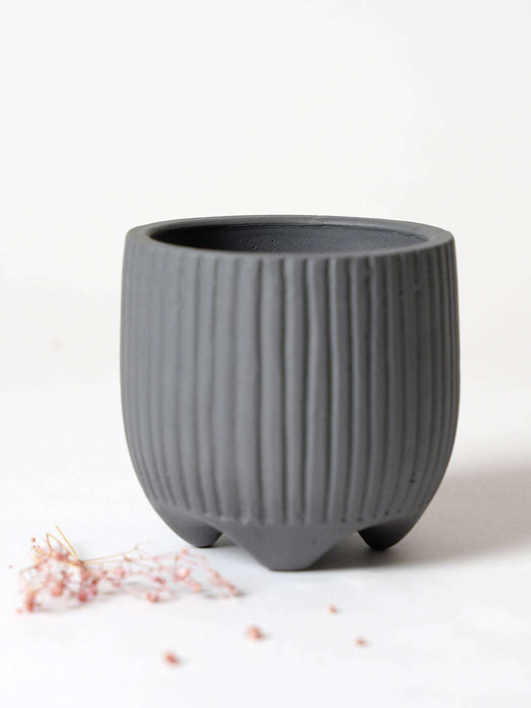Sunbeam Planter