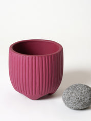 Sunbeam Planter