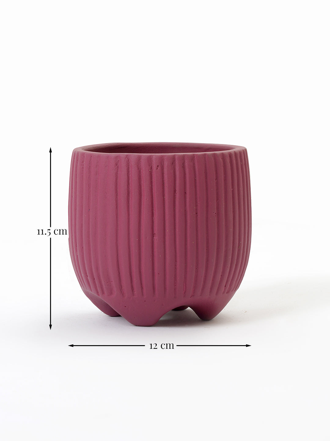 Sunbeam Planter