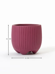 Sunbeam Planter