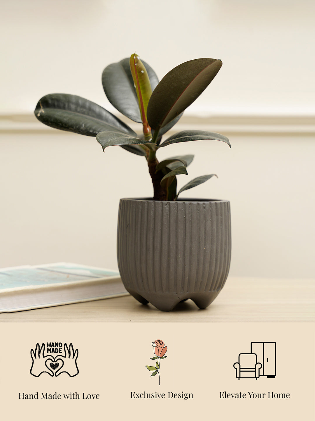 Sunbeam Planter