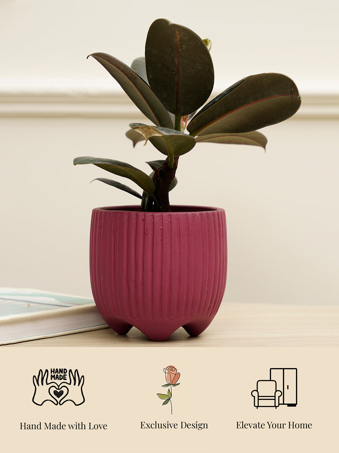 Sunbeam Planter